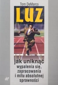 Luz. Jak Uniknąć Wypalenia Się, Zapracowania i Mitu Absolutnej Sprawności - Zarządzanie - miniaturka - grafika 1