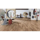 Panele podłogowe - Panel podłogowy Elegant Oak AC3 8 mm - miniaturka - grafika 1