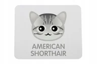 Podkładki pod mysz - Podkładka pod mysz kot amerykański krótkowłosy - miniaturka - grafika 1