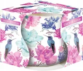 Świece - Bispol Świeca zapachowa w szkle 20H DOTYK NATURY BISPOL1804 - miniaturka - grafika 1