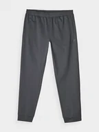 Spodnie sportowe męskie - 4F Spodnie sportowe w kolorze szarym - miniaturka - grafika 1