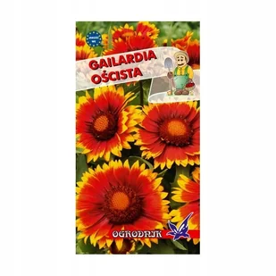 Gailardia Oścista 0,5g / O / - Nasiona i cebule - miniaturka - grafika 1