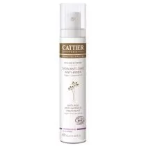 CATTIER (kosmetyki) KREM ANTI AGE DO TWARZY PRZECIWZMARSZCZKOWY EKO 50 ml - CATTIER BP-3283950921848 - Kremy do twarzy - miniaturka - grafika 1
