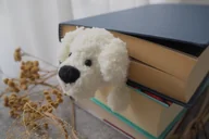 Zakładki do książek - Zakładka BIAŁY PIESEK - Maltańczyk - miniaturka - grafika 1