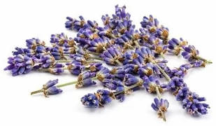 EQUIHERBS Lawenda kwiat 0,5 kg - - Akcesoria jeździeckie - miniaturka - grafika 1