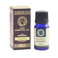 Kosmetyki do kąpieli - Song Of India Olejek esencjonalny 10 ml - Eucalyptus - miniaturka - grafika 1