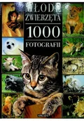 Książki o kulturze i sztuce - Młode zwierzęta 1000 fotografi - miniaturka - grafika 1