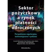 Finanse, księgowość, bankowość - Sektor pożyczkowy a rynek płatności odroczonych - miniaturka - grafika 1