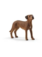 Zabawki kreatywne - Schleich Figurka "Rhodesian Ridgeback" do zabawy - 3+ - miniaturka - grafika 1