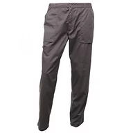 Spodenki męskie - Regatta Regatta Action Trousers Męskie spodnie trekkingowe Nowoczesny 30W / 33L ciemnoszary TRJ330L 864030 - miniaturka - grafika 1