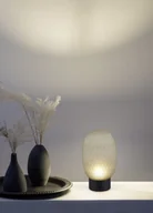 Lampy stojące - Trio FACETTE 564210115 lampa przenośna klosz szkło zielone LED 1,5W 3000K DIM ładowanie USB-C wykończenie czarne - miniaturka - grafika 1