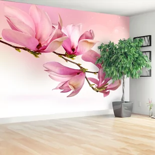 Fototapeta Magnolia - Fototapety - miniaturka - grafika 1