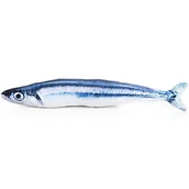 Zabawki dla kotów - Ukleja Zabawka dla KOTA 20CM ryba pluszak karp - miniaturka - grafika 1