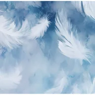 Fototapety - Fototapeta Pióra Biały Abstrakcja Niebieski 250x175 cm Tapeta Do Sypialni Salonu Kuchni Na Flizelinie - miniaturka - grafika 1
