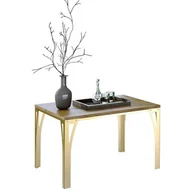 Ławy i stoliki kawowe - Skandynawski stolik kawowy złoty + dąb lancelot D4-Z23 - miniaturka - grafika 1