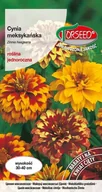 Nasiona i cebule - Nasiona Cynia meksykańska mieszanka 1g - Torseed - miniaturka - grafika 1