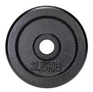 Obciążenia - Obciążenie żeliwne 2,5 kg AbarQs - miniaturka - grafika 1