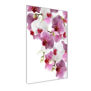 Foto-obraz szkło hartowane pionowy Orchidea - Obrazy i zdjęcia na płótnie - miniaturka - grafika 1