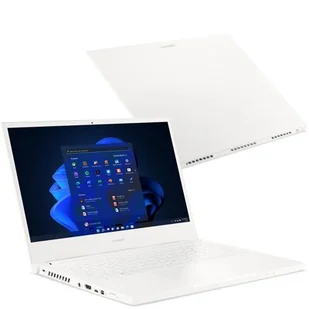 Acer ConceptD 3 i7-11800H/16GB/1TB/Win10P GTX1650 - Laptopy 2w1 - miniaturka - grafika 1