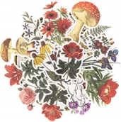 Scrapbooking - Naklejki Scrapbookingu Dla Dzieci Rośliny Kwiaty - miniaturka - grafika 1