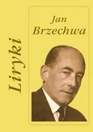Poezja - Liryki - miniaturka - grafika 1