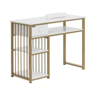 Stoliki do manicure - physa Biurko do manicure żelazna rama białe / złote szuflada podpórka pod dłonie - Biurka do manicure - miniaturka - grafika 1