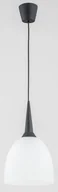Lampy sufitowe - Alfa UNINO 60629 lampa wisząca 1x60W/E27 60629 - miniaturka - grafika 1