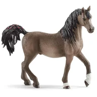 Figurki dla dzieci - Schleich Horse Club - Koń arabski, ogier, figurka dla dzieci 5+ - miniaturka - grafika 1