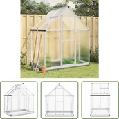 Szklarnie ogrodowe - The Living Store Szklarnia z ramą fundamentową srebrna 169x114x202 cm aluminium - miniaturka - grafika 1