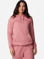 Bluzy damskie - Bluza damska z kapturem Columbia Trek Graphic Treatment Hoodie 2051611629 XS Różowa (195981031171). Bluzy z kapturem damskie - miniaturka - grafika 1