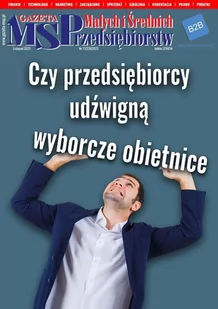 Gazeta Małych i Średnich Przedsiębiorstw 11/2023 - E-booki - biznes i ekonomia - miniaturka - grafika 1