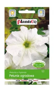 Petunia ogrodowa biała 0,05 g Plantico - Nasiona i cebule - miniaturka - grafika 1