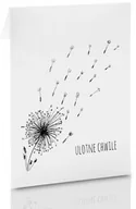 Koperty - Koperta B&W na zdjęcia 15x21 i 15x23 dmuchawce - miniaturka - grafika 1