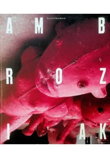 Ambroziak - Książki o kulturze i sztuce - miniaturka - grafika 1