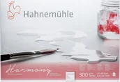 Szkolne artykuły papiernicze - Hahnemühle Hahnemühle Harmony Watercolour cold pressed 12 Sheets 300 g A4 - miniaturka - grafika 1