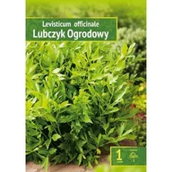 Nasiona i cebule - Levisticum Officinale - Lubczyk Ogrodowy Wybór ""I"" 1 Szt. - miniaturka - grafika 1