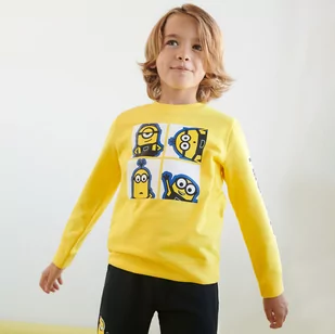 Sinsay - Bluza Minionki - Żółty - Swetry dla chłopców - miniaturka - grafika 1