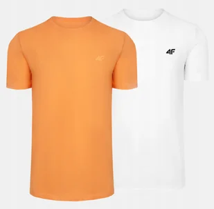 T-SHIRT MĘSKI 4F KOSZULKA BAWEŁNIANA SPORTOWA BASIC ZESTAW 2SZT KOMPLET - Koszulki męskie - miniaturka - grafika 1