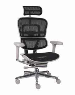 Fotel biurowy, krzesło biurowe Fotel Ergohuman 2 Elite GS Black - Fotele i krzesła biurowe - miniaturka - grafika 1