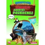 Kolorowanki, wyklejanki - Zwierzęta Ameryki Północnej z naklejkami - miniaturka - grafika 1