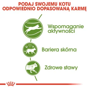 ROYAL CANIN  Outdoor 30 4kg karma sucha dla kotów dorosłych, wychodzących na zewnątrz + niespodzianka dla kota GRATIS - Sucha karma dla kotów - miniaturka - grafika 7