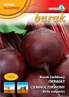 Nasiona i cebule - Burak Okrągły Ciemnoczerwony 10g / L / - miniaturka - grafika 1