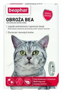 BEAPHAR BEAPHAR Obroża ochronna dla kota przeciw pchłom i kleszczom - Artykuły przeciw pasożytom - miniaturka - grafika 1