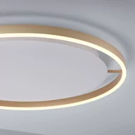Lampy sufitowe - Paul Neuhaus Mosiężna lampa sufitowa 58 8 cm z 3-stopniową regulacją LED - Zlatan - miniaturka - grafika 1
