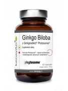 Suplementy naturalne - Kenay Ginkgo Biloba z Ginkgoselect Phytosome (60 kapsułek) - Kenay AG 01AC-7200C - miniaturka - grafika 1