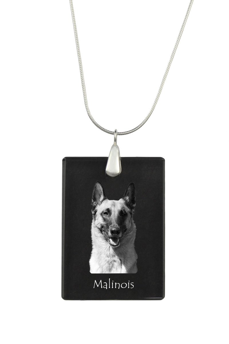Malinois Owczarek belgijski - kryształowa zawieszka z psem, srebrny naszyjnik ze zdjęciem, personalizowany wisiorek marki Art-Dog