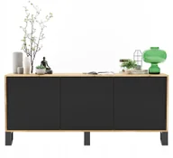 Komody - Industrialna Loft komoda Rtv Loft wotan czarny Mat - miniaturka - grafika 1