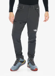 Spodnie turystyczne The North Face Speedlight Slim Tapered Pant - asphalt grey - Spodnie narciarskie - miniaturka - grafika 1