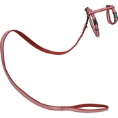 Odblaski i adresówki - MORE Szelki dla kota Royal z odblaskową smyczą czerwony - miniaturka - grafika 1