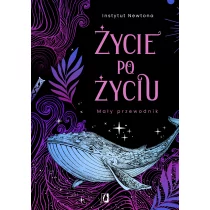 Życie po życiu. Mały przewodnik - Ezoteryka - miniaturka - grafika 1